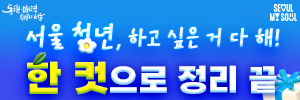서울 청년 하고 싶은 거 다 해 한 컷으로 정리 끝